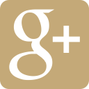 Connect with Selling Restaurants on Google Plus